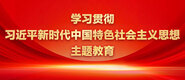 操逼骚逼小穴喷水抽插视频啊啊啊啊91学习贯彻习近平新时代中国特色社会主义思想主题教育_fororder_ad-371X160(2)